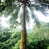 Mele Cascades, Port Vila Vanuatu