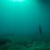 Shipwreck Diving Photo