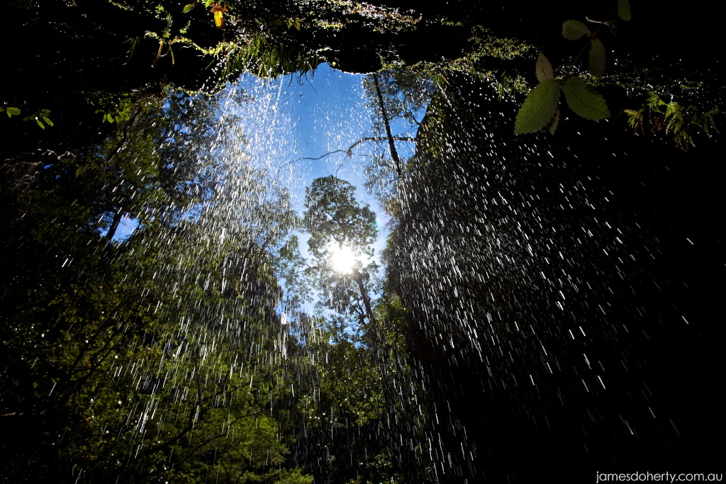 Waterfalls of the Blue Mountains