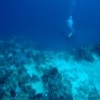 Diving with Big Blue Vanuatu, Bougaainvillaea Reef