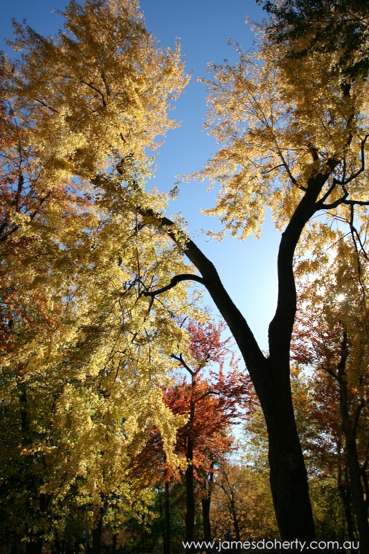 Île Sainte-Hélène, Montreal Canada