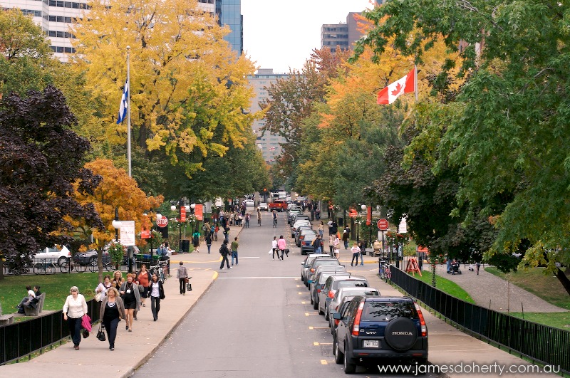 McGill University