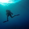 Diving in Port Vila, Vanuatu