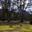 Overland Track, Cradle Mountain to Lake St Claire, Tasmania 2009