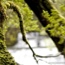 Overland Track, Cradle Mountain to Lake St Claire, Tasmania 2009