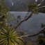 Crater Lake and Cradle Plateau, Day 1, Overland Track, Cradle Mountain to Lake St Claire, Tasmania 2009