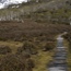 Trail to Mount Ossa, Day 3 Overland Track, Cradle Mountain to Lake St Claire, Tasmania 2009